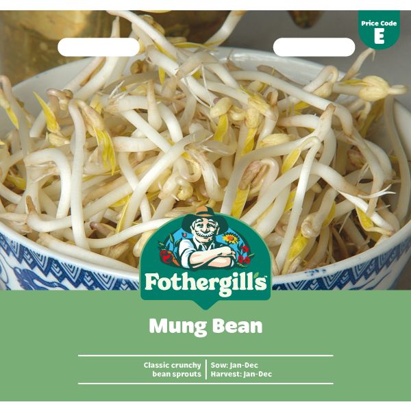 Mung Bean Seeds