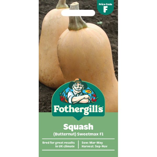 Squash (Butternut) Sweetmax F1 Seeds