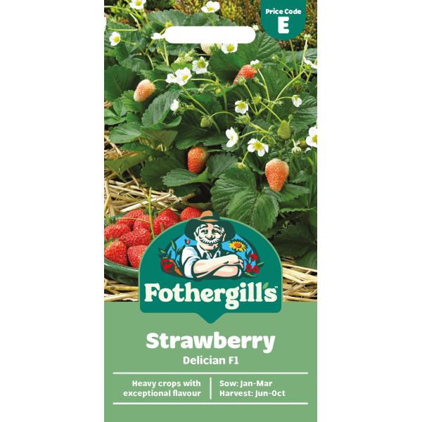 Strawberry Delican F1 Seeds