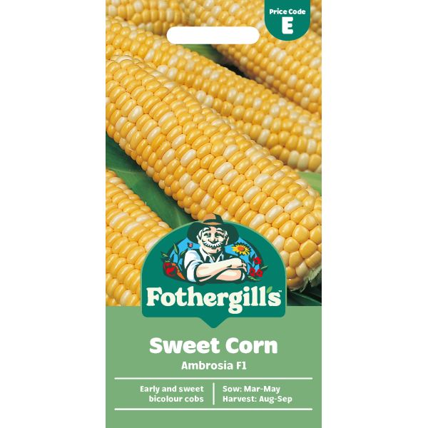 Sweet Corn Ambrosia F1 Seeds
