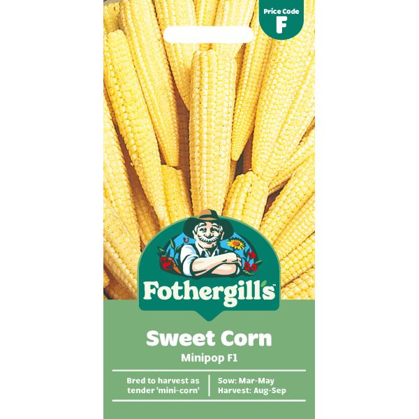 Fothergills sweet corn seed packet with corn illustration on a white background