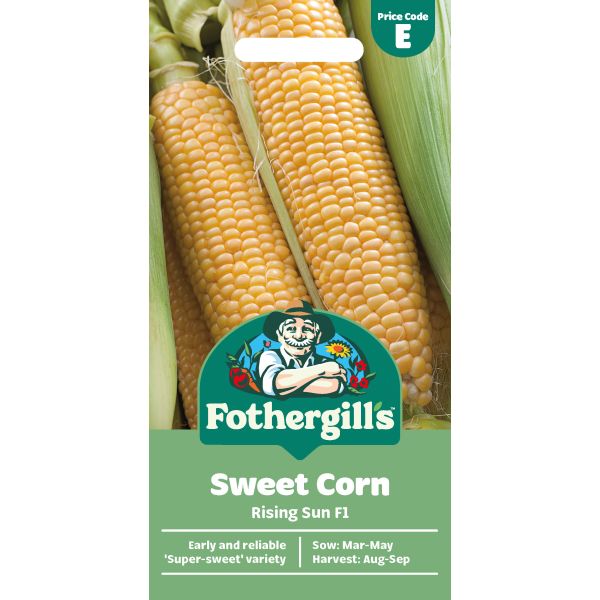 Fothergills sweet corn seed packet with two ears of corn on a white background