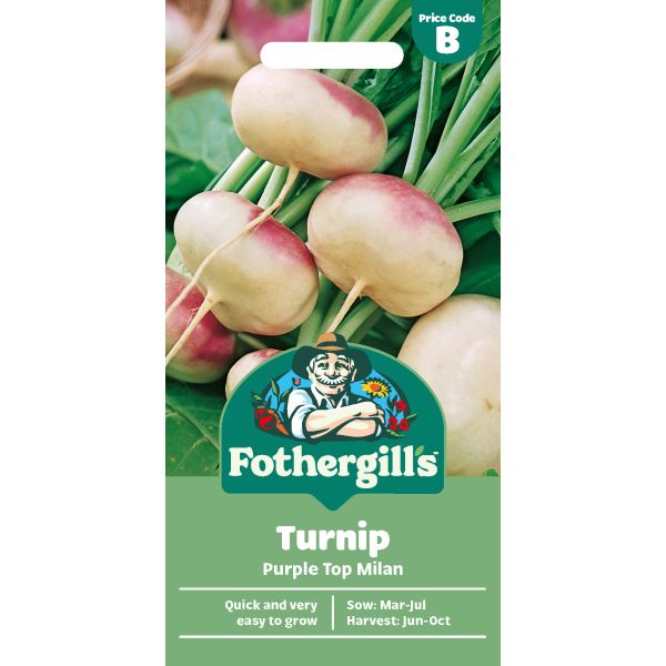 Fothergills turnip seed packet with purple top Milan turnips on a green background