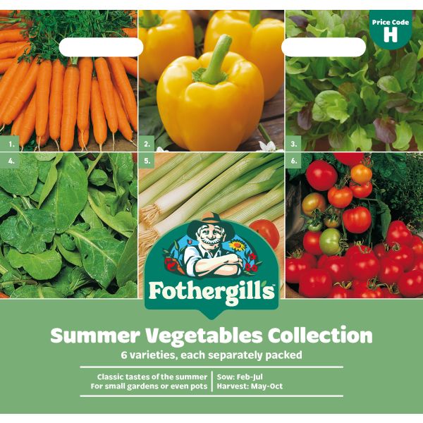 Summer Vegetables Seeds