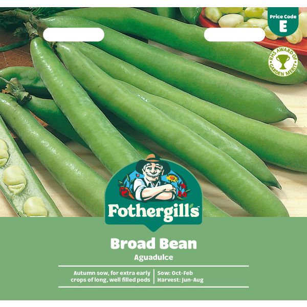 Broad Bean Aguadulce Seeds