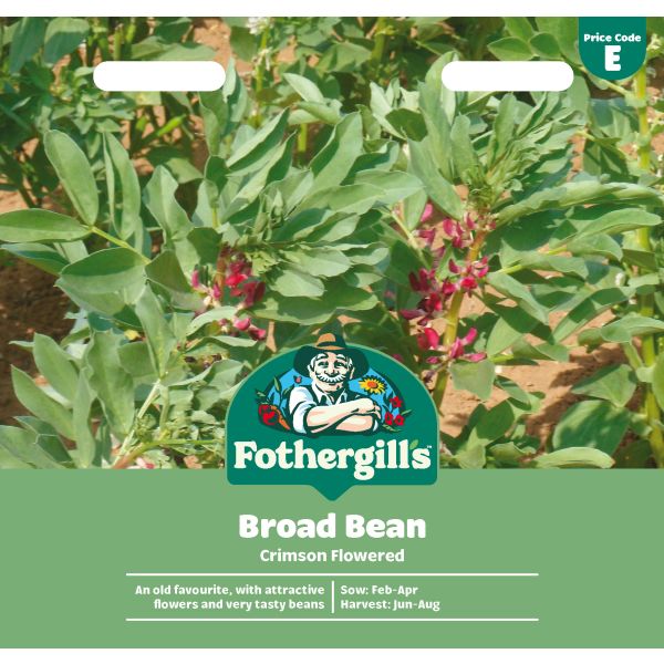 Broad Bean Crimson Flowered Vegetable Seeds