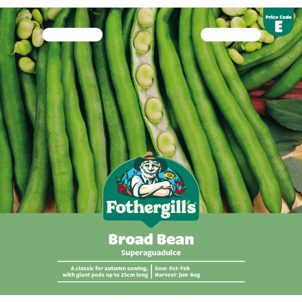 Broad Bean Superaguadulce Seeds