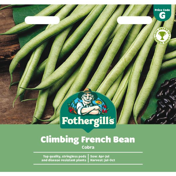 Climbing Bean Cobra Seeds