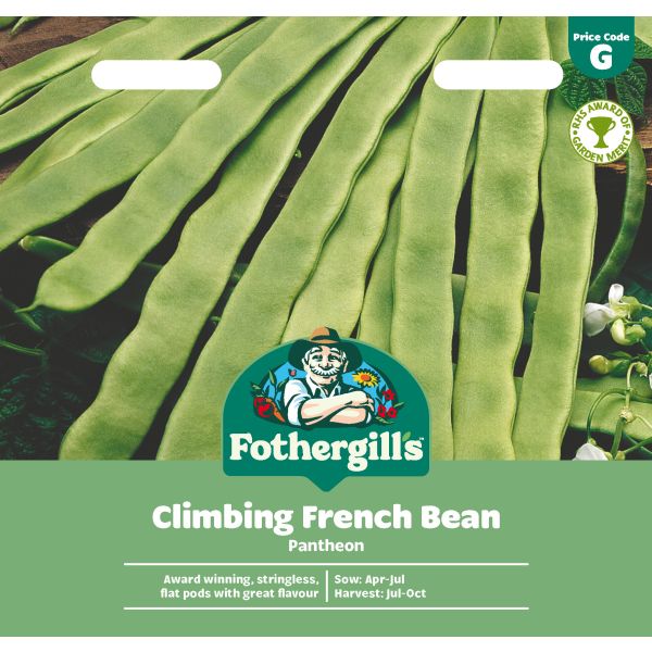Climbing Bean Pantheon Seeds