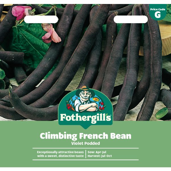 Climbing Bean Podded Seeds
