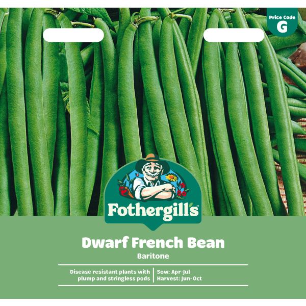 Dwarf French Bean Baritone Seeds