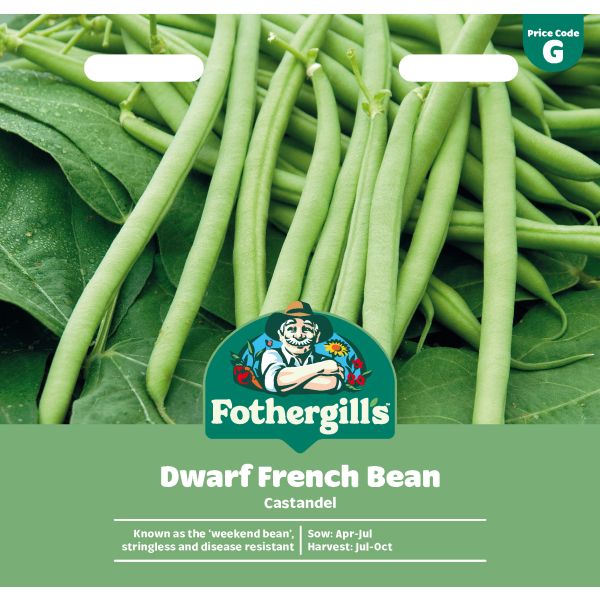 Dwarf (French) Bean Castandel