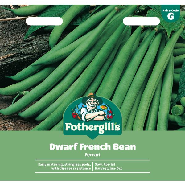 Dwarf Bean Ferrari Seeds