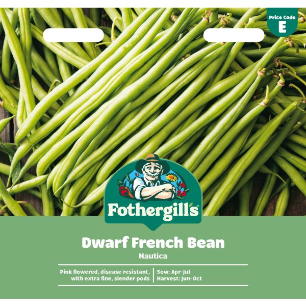 Dwarf French Bean Nautica
