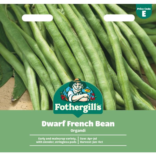 French (Dwarf) Bean Organdi Vegetable Seeds