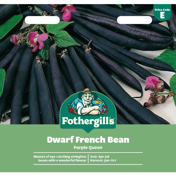 Dwarf Bean Queen Seeds