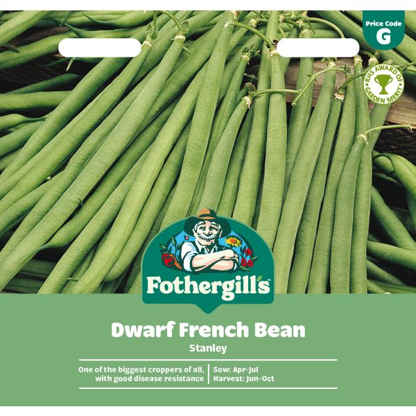 Dwarf Bean Stanley Seeds