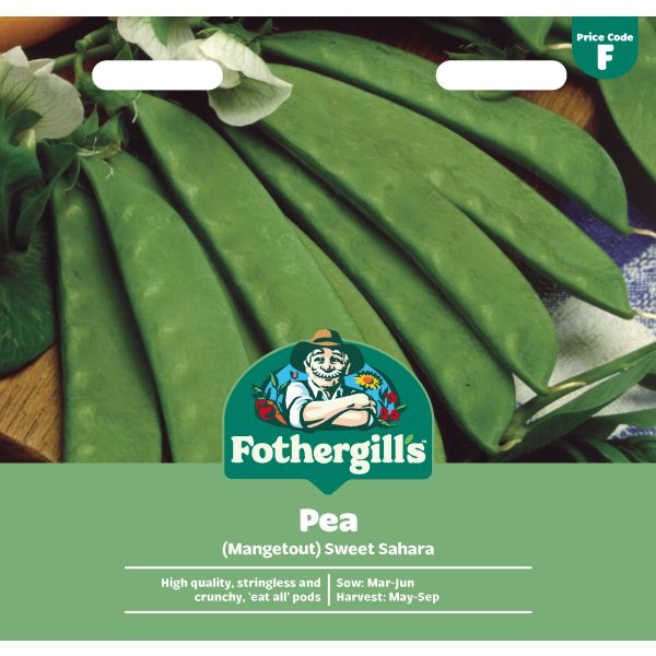 Pea (Mangetout) Sweet Sahara