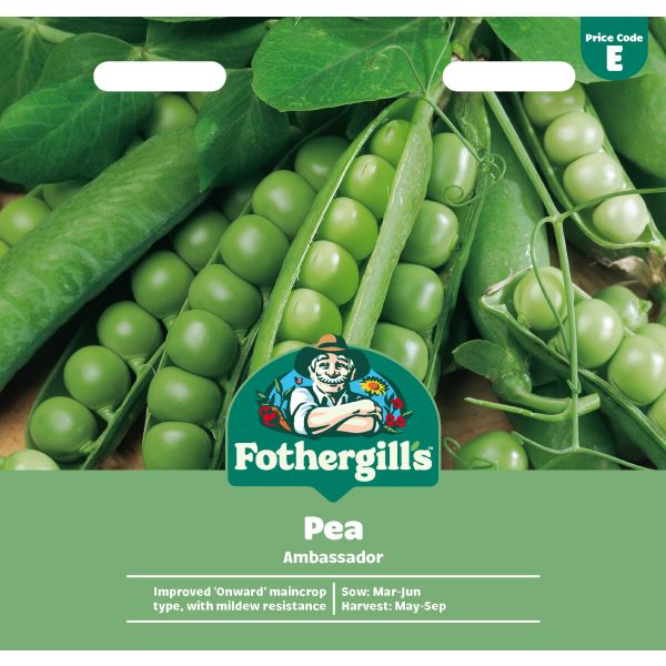 Pea Ambassador Seeds