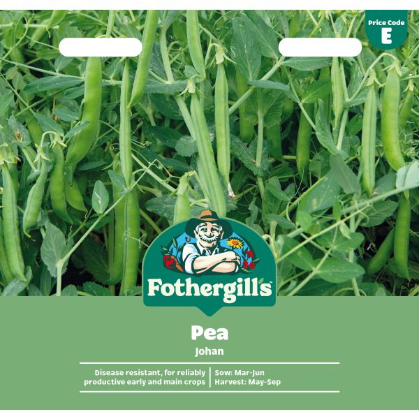Pea Johan Vegetable Seeds