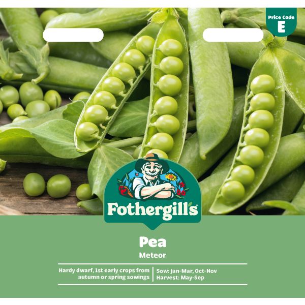 Pea Meteor Seeds