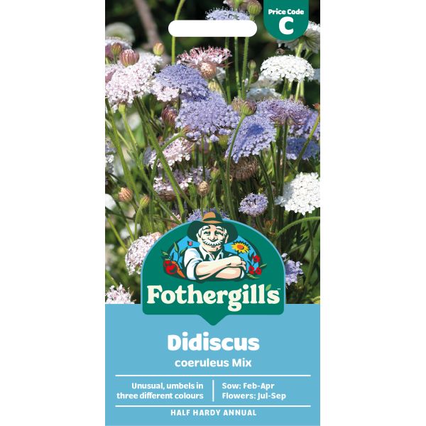 Fothergills Didiscus coeruleus mix seed packet with a man and flowers on a white background