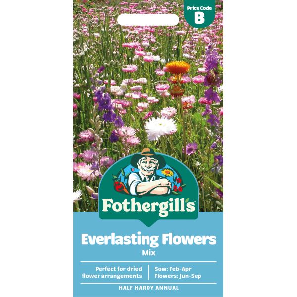 dried flower seeds uk Everlasting Flowers Mix Seeds