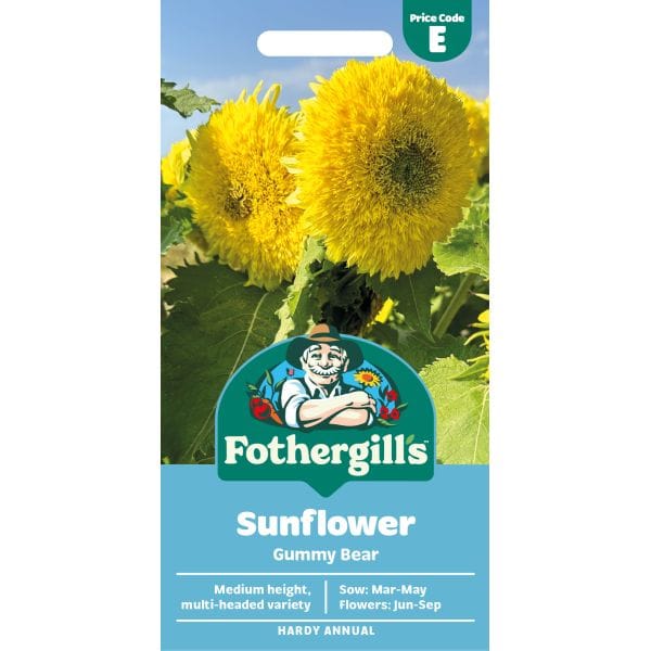 Sunflower Gummy Bear Seeds