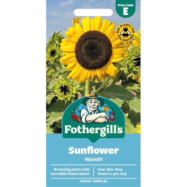 Sunflower Waooh Seeds | Fothergill's