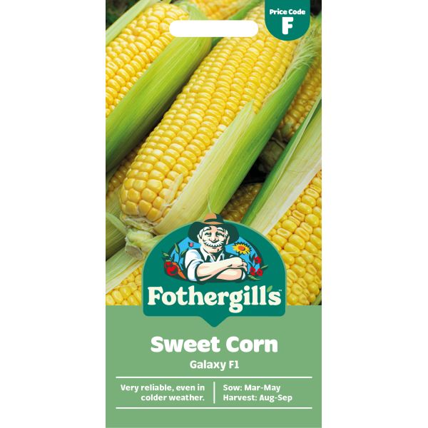 SweetCorn Galaxy F1 Seeds