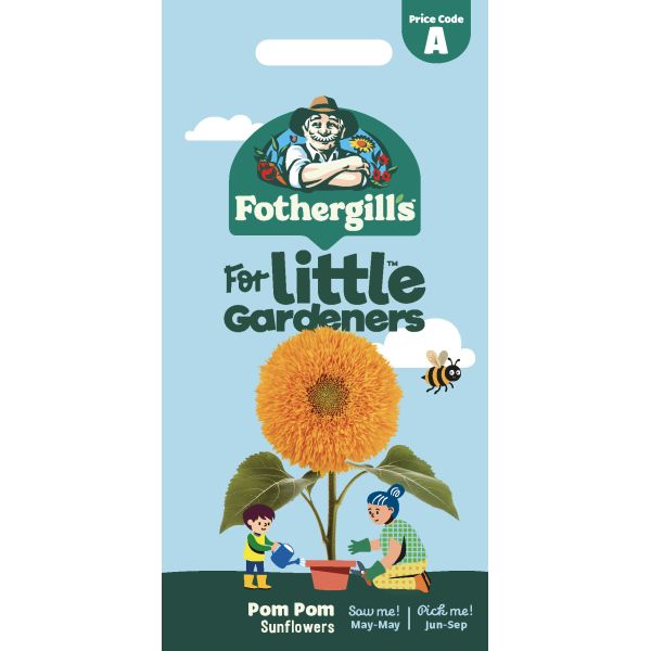 Little Gardeners Pom Pom Sunflowers Seeds