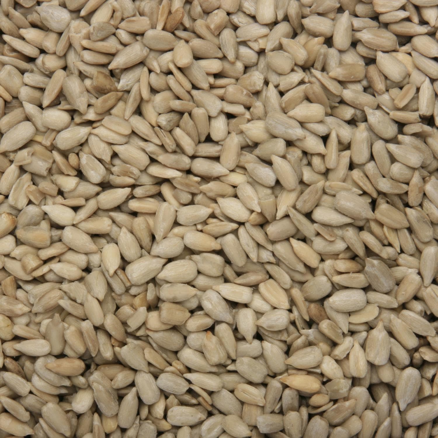 12.75KG bag Bird Food Sunflower Hearts