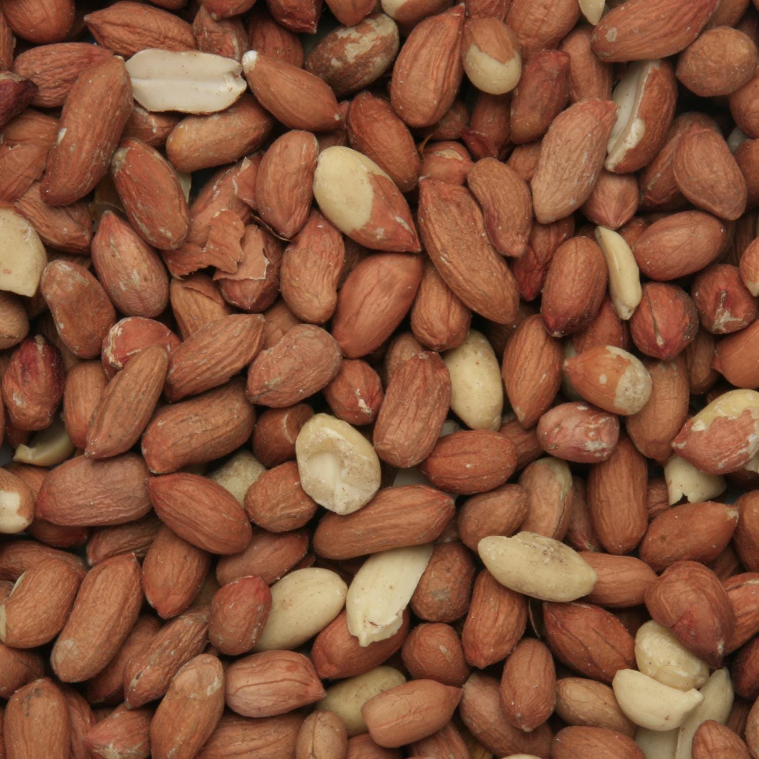 12.75KG bag Bird Food Peanuts