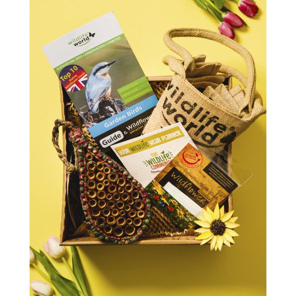 Gift basket with wildlife-themed items including a bird guide and wildflower seeds on a yellow background.