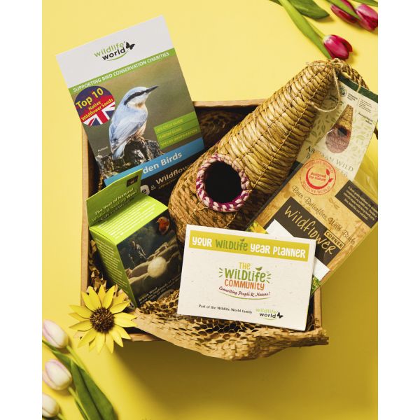 Birdwatching kit with books, a bird feeder, and a planner on a yellow background
