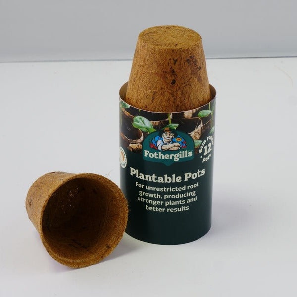 Product 8