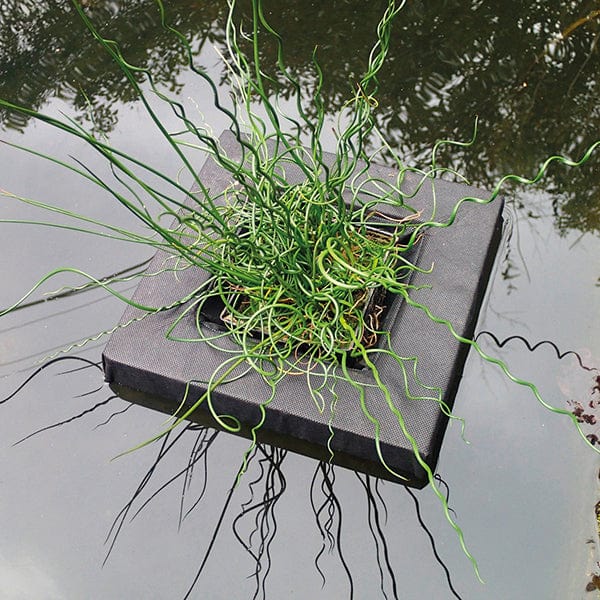 Floating Pond Plant Basket 25cm x 2