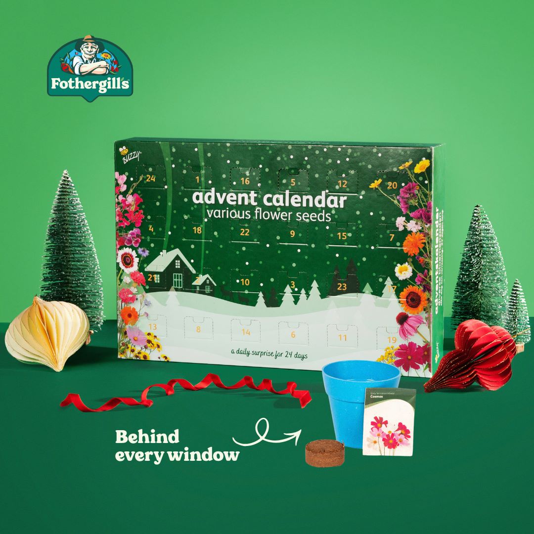 Buzzy Advent Flower Calendar