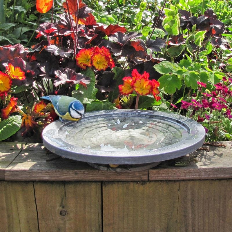 Aristotle Oasis Bird Bath & Drinker