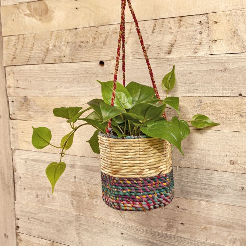Artisan Hanging  Basket - Medium Cylinder Planter