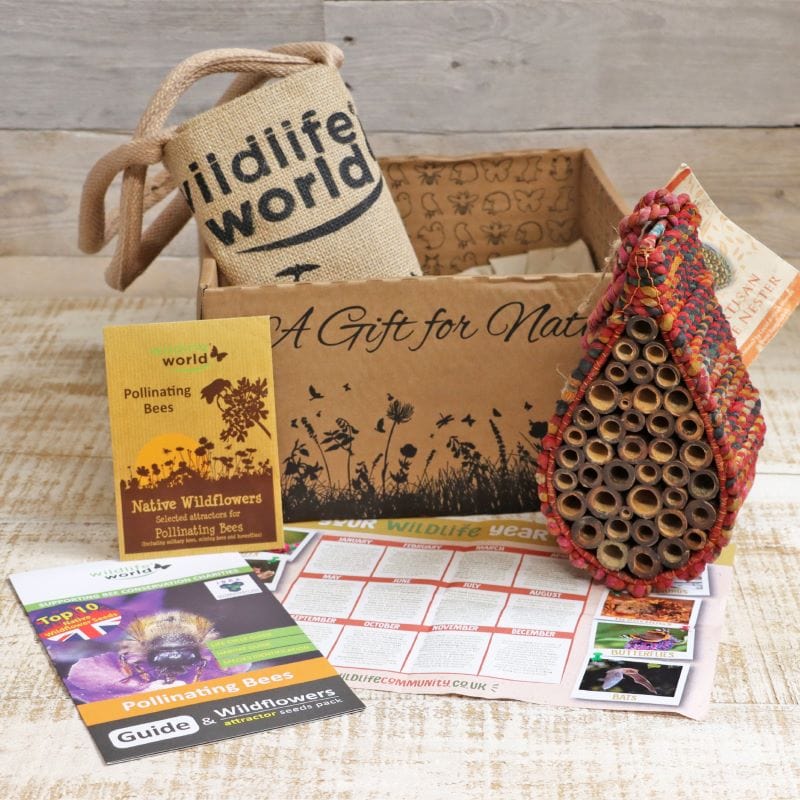 Artisan Bee Nester Gift Box