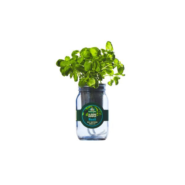 Oh Sow Simple Self-Watering Grow Kit – Basil