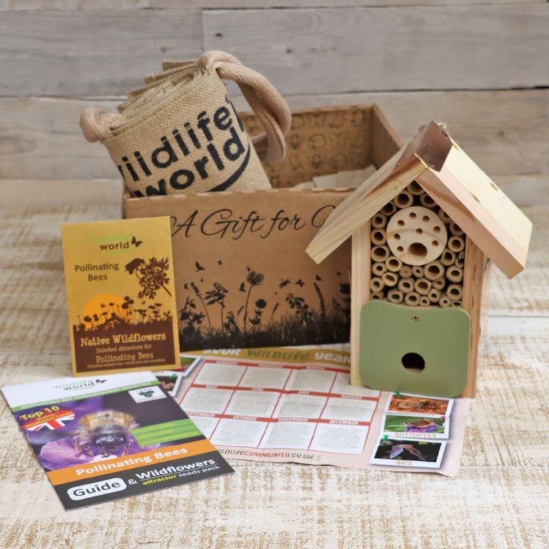 Bee Barn Gift Box