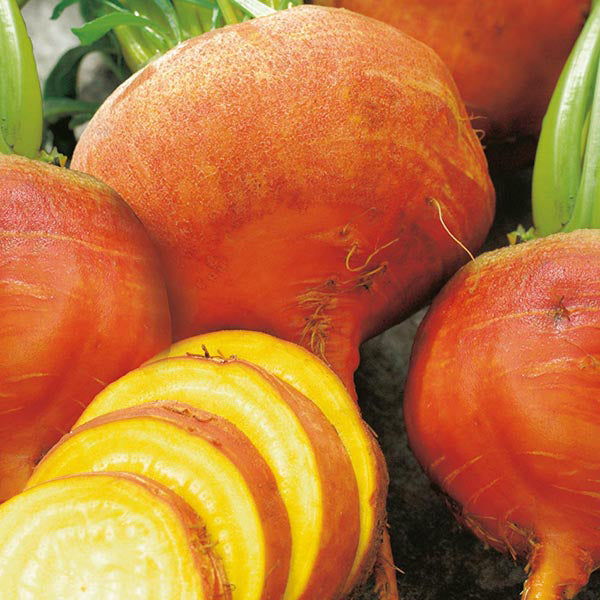 Beetroot Burpees Golden