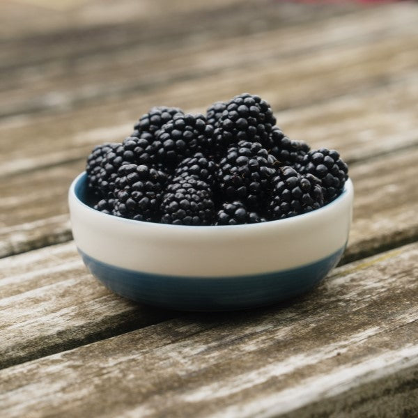 Blackberry Loch Katrine Plant