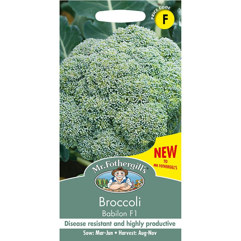 Broccoli Babilon F1 Seeds