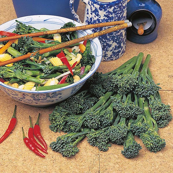 Broccoli Season Long Cropping Seed Collection
