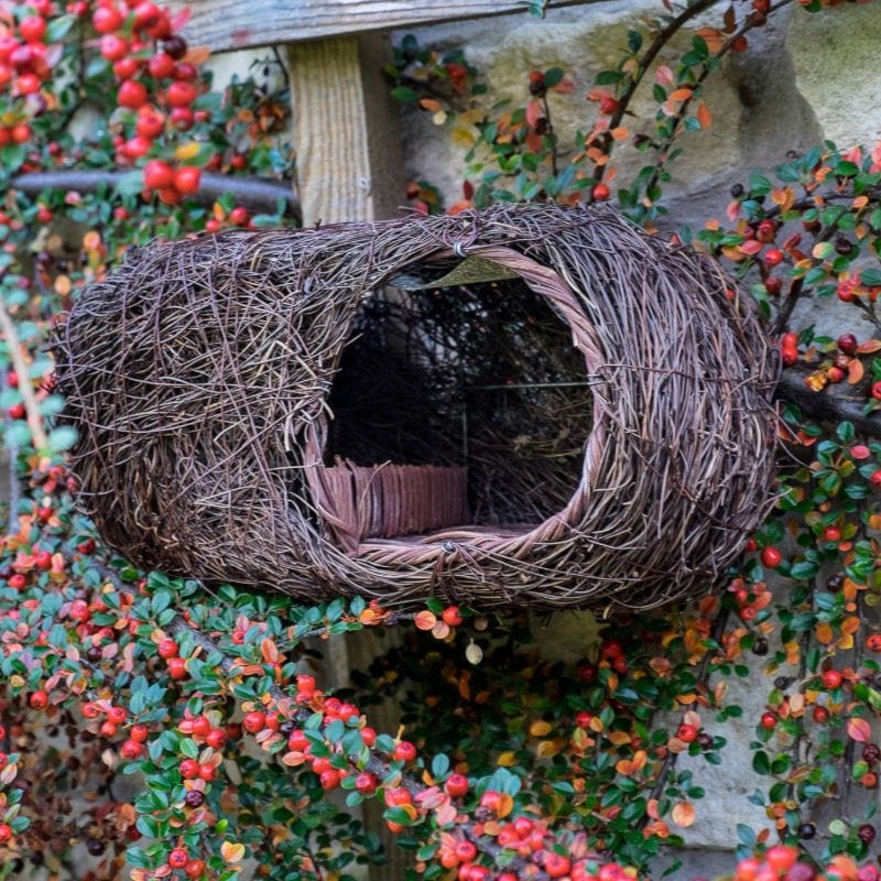 Simon King Brushwood Robin Nester