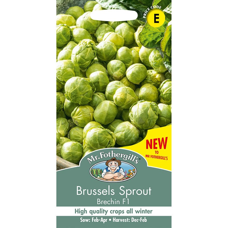 Brussels Sprout Brechin F1 Seeds