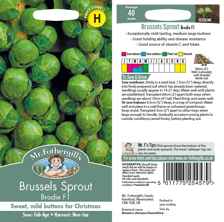 Brussels Sprout Brodie F1 Seeds